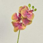 Artificial Phalaenopsis orchid spray OPHELIA, fuchsia-green, 16"/40cm, Ø2.8"-3.1"/7-8cm
