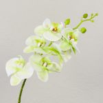 Artificial Phalaenopsis orchid spray OPHELIA, cream-green, 31"/80cm, Ø3.1"-3.5"/8-9cm