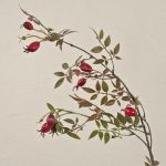 Decorative dog rose branch WARDALIA, red, 37"/95cm