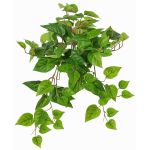 Decorative plant hanging pothos SHELLEY on spike, Eco Collection, green, 22"/55cm