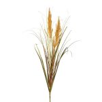 Decorative grass pampas grass WAHAN with panicles, spike, brown, 3ft/105cm