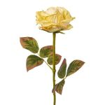 Artificial flower rose DRINT, green-cream, 24"/60cm, Ø4.1"/10.5cm
