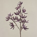 Fake sedum branch MOMOKA, dark purple, 4ft/110cm
