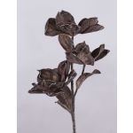 Decorative camellia branch RANIA, brown, 37"/95cm, Ø7.1"-9"/18-22cm