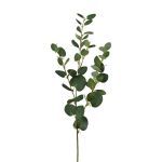 Decorative eucalyptus branch JINVAL, green, 31"/80cm