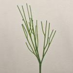 Artificial euphorbia BENEDETTO, green, 20"/50cm