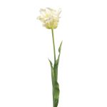 Decorative Parrot tulip LUNIA, white-green, 28"/70cm