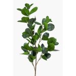 Artificial Ficus Panda branch BANDE, green, 3ft/90cm
