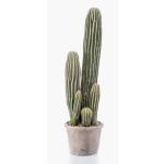 Artificial San Pedro cactus DACON in decorative pot, green, 22"/55cm
