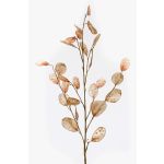 Artificial lunaria branch BUELNA, light brown, 3ft/105cm
