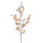Artificial lunaria branch BUELNA, light brown, 3ft/105cm