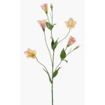Fake Lisianthus PAZAN, pink-cream, 28"/70 cm
