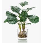 Artificial Calathea Orbifolia AGINA in glass pot, green-white, 18"/45 cm