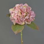 Hydrangea silk flower AMARILDO, pink-yellow, 20"/50cm, Ø6.3"/16cm