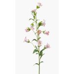 Silk bellflower AIMI, pink-cream, 3ft/90 cm