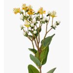 Fake St. John's wort CANNO with flowers, fruits, yellow-white, 26"/65 cm