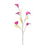 False branch Calla lily KASUMI, fuchsia, 33"/85cm