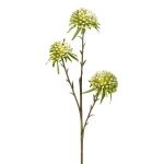 Artificial flower branch Allium GLORF, green-white, 24"/60cm