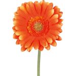 Artificial flower Gerbera TUNZA, orange, 20"/50cm