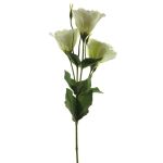 False Lisianthus ALARONA, cream, 22"/55cm