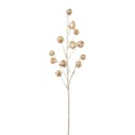 Artificial branch Physalis FRILTE with fruits, metallic champagne, 35"/90cm