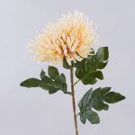 HIKJON artificial chrysanthemum, cream-apricot, 75cm, Ø18cm