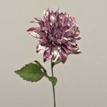 Velvet dahlia MINBU, dusky pink, 24"/60cm, Ø7"/18cm