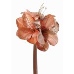 Velvet amaryllis KIRSTY, salmon, 28"/70cm, Ø5.1"-5.9"/13-15cm