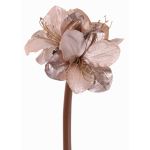 Velvet amaryllis KIRSTY, light purple, 28"/70cm, Ø5.1"-5.9"/13-15cm