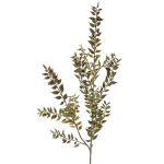 Artificial butcher's broom spray ELENIE, green, 3ft/95cm