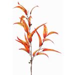 False eucalyptus spray EUSEBIOS, orange-yellow, 3ft/100cm