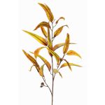 False eucalyptus spray EUSEBIOS, yellow-orange, 3ft/100cm