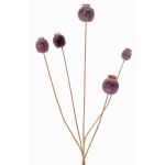 Artificial poppy capsule FILOMELA, dark brown, 30"/75cm, Ø0.8"-1.4"/2-3.5cm
