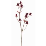 Fake thistle spray (Eryngium) LOUKAS, burgundy red, 18"/45cm, Ø0.4"-0.6"/1-1.5cm