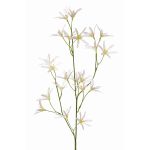 Artificial flower Tweedia solanoides PALLAS, white, 30"/75cm, Ø2"/5cm