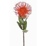 Artificial protea BAILY, orange, 22"/55cm, Ø3.9"/10cm