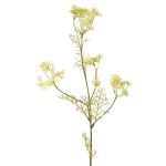 Artificial Wild Carrot KALOMIRA, green-white, 33"/85cm