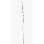 Artificial pussy willow branch DAFINO with flowers, white, 3ft/105cm