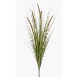 Fake pennisetum YWAIN, panicles, spike, beige-green, 28"/70cm