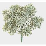 Fake crossostephium ALGOL, spike, crossdoor, grey-green, 8"/20cm