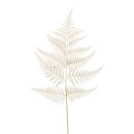 Western sword fern artificial leaf MBALI, cream, 31"/80cm