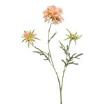Artificial Scabiosa MARUA, peach, 31"/80 cm