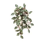 Artificial inchplant MBARKA on stick, green-red, 16"/40 cm