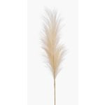 Artificial pampas grass panicle AMATSIA, cream, 4ft/115 cm