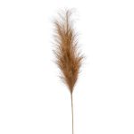 Artificial pampas grass panicle AMATSIA, brown, 4ft/115 cm