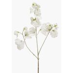 Artificial sweet pea KANZI, cream, 30"/75 cm