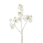 Artificial sweet pea KANZI, cream, 30"/75 cm