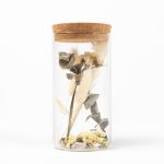 Dried flowers in glass pot MARCELA, brown-green, 15cm, Ø8cm