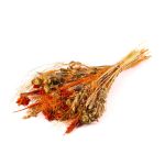 Dried ear bouquet COVENTINA, orange-natural, 26"/65cm, Ø9"/23cm