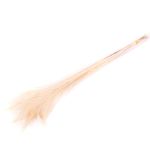 Peacock feathers NOYANA in a bunch, 5 pieces, white bleached, 26"-33"/65-85cm